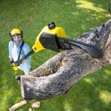 Best Stump Grinding and Removal  in Pocono Springs, PA